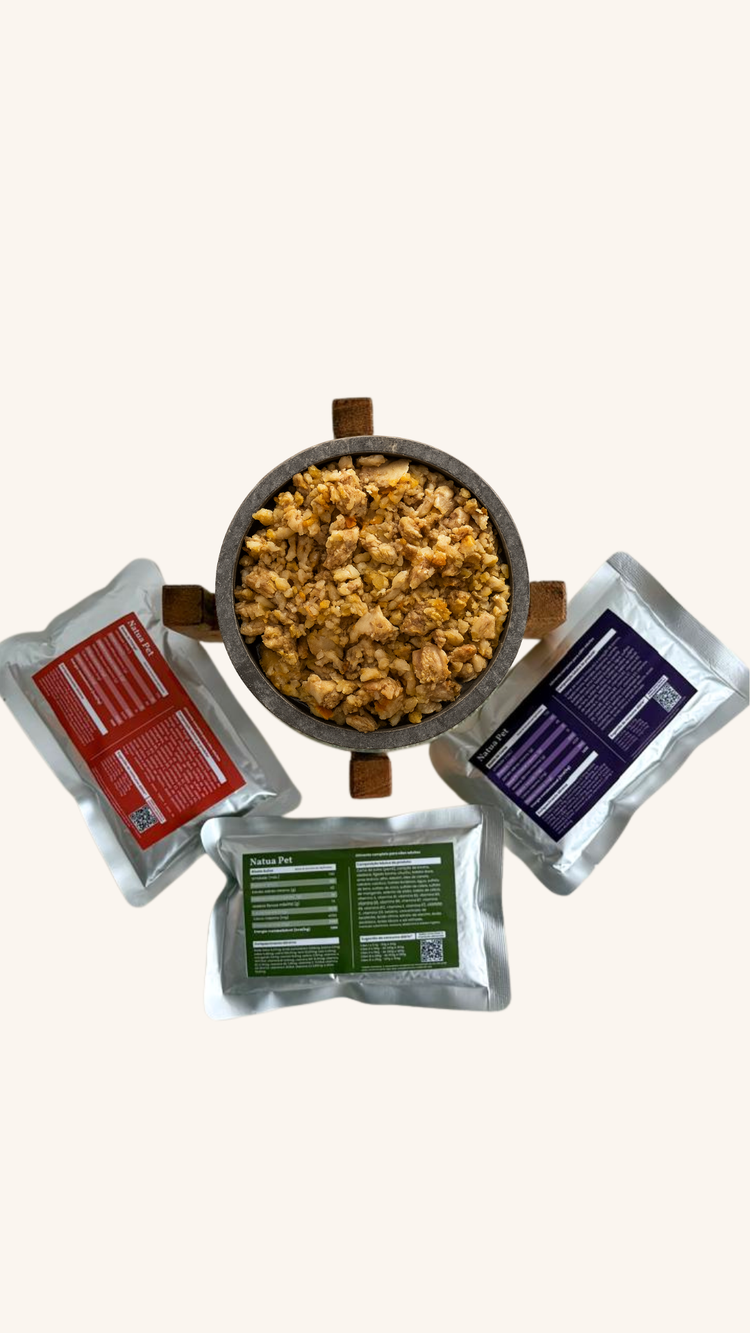 Pote de comida natural Natua Pet servido em suporte de madeira, cercado por três sachês de 200 g nas cores vermelha, verde e roxa