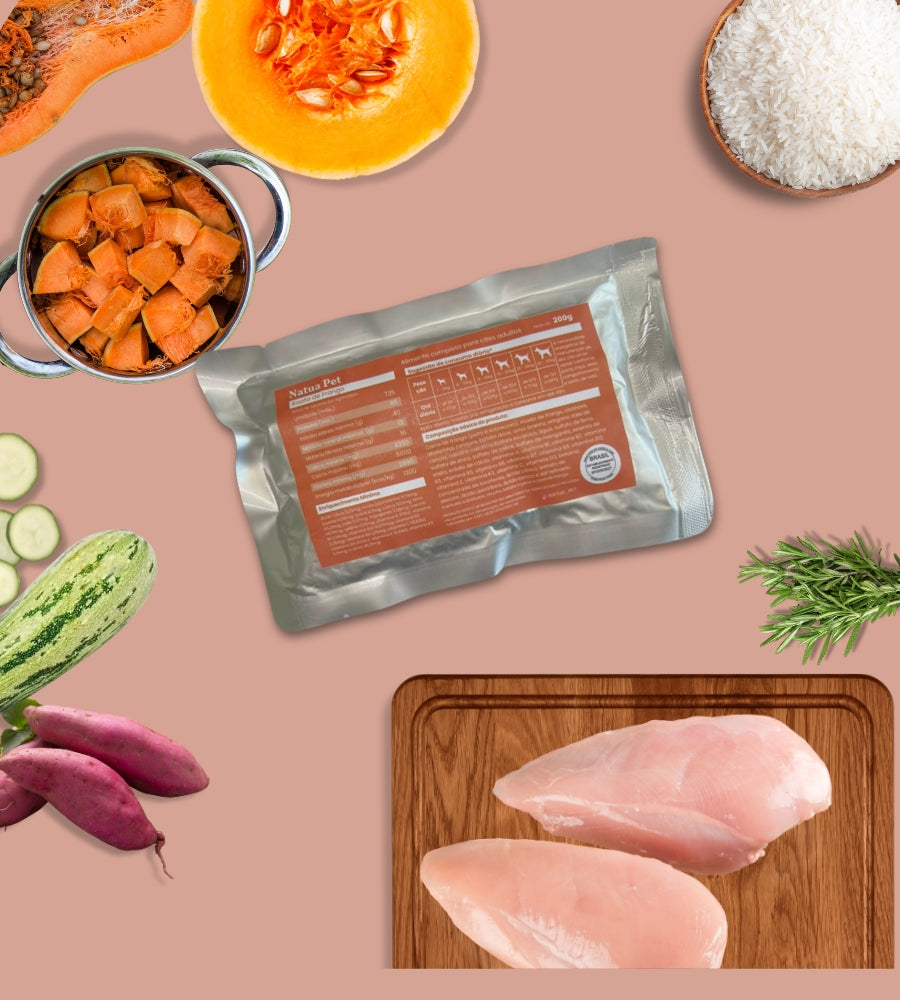 Alimentação Natural para cães