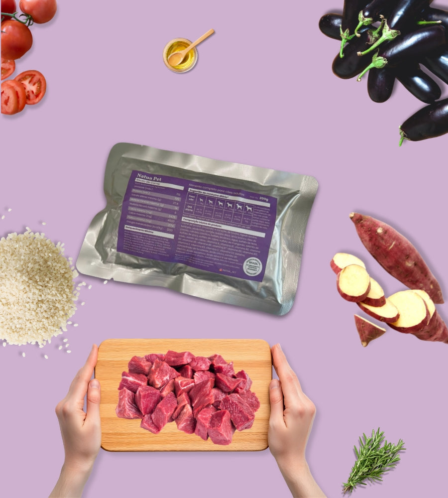 Alimentação Natural para cães